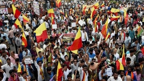 PTI Image: A pro-Kannada rally in Bengaluru in 2017(PTI)