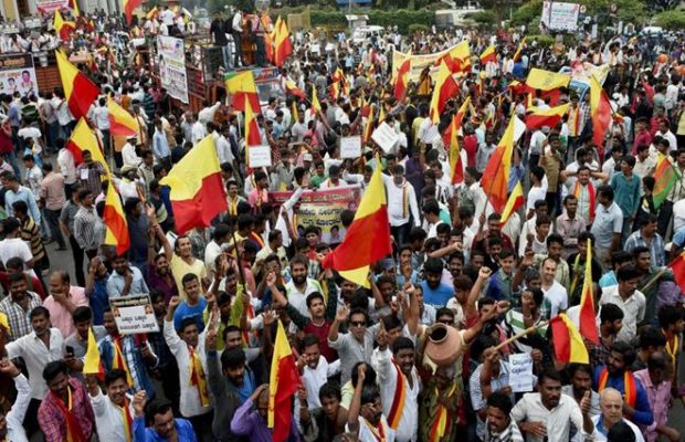 PTI Image: A pro-Kannada rally in Bengaluru in 2017 (PTI)