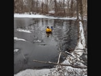 The image, posted on Facebook, shows a responder standing in the icy waters of the pond while rescuing the dog.