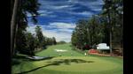 The Chandigarh Golf Club elections will be held for the post of president and 11 executive members. (Representative image) The Chandigarh Golf Club elections will be held for the post of president and 11 executive members. (Representative image)