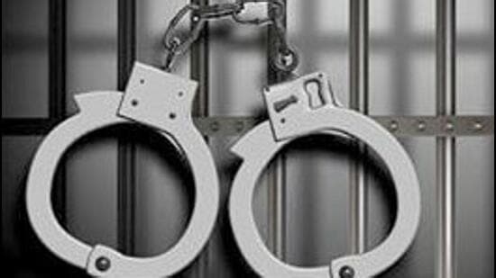 Under Operation Hifazat, intensive patrolling and combing operations are being carried out in crowded areas and crime-prone areas of south district against people involved in criminal activities (Representative image)