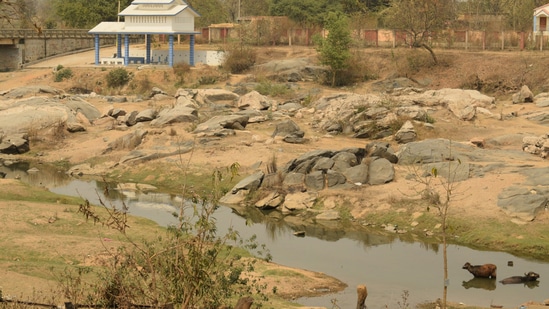 I spent many years just a short bicycle ride from the sandy banks of the Kangsabati river.&nbsp;Sadly, whenever I visit now, I come crashing back to reality. The river still exists, but it looks nothing like it did a few decades ago.(Shutterstock)