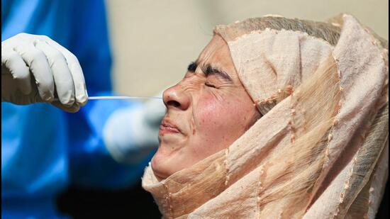 A health worker collects swab samples for COVID-19 testing in Jammu. (PTI Photo)