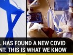 ISRAEL HAS FOUND A NEW COVID VARIANT: THIS IS WHAT WE KNOW