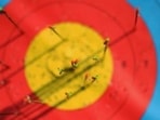A detailed view of arrows in the target