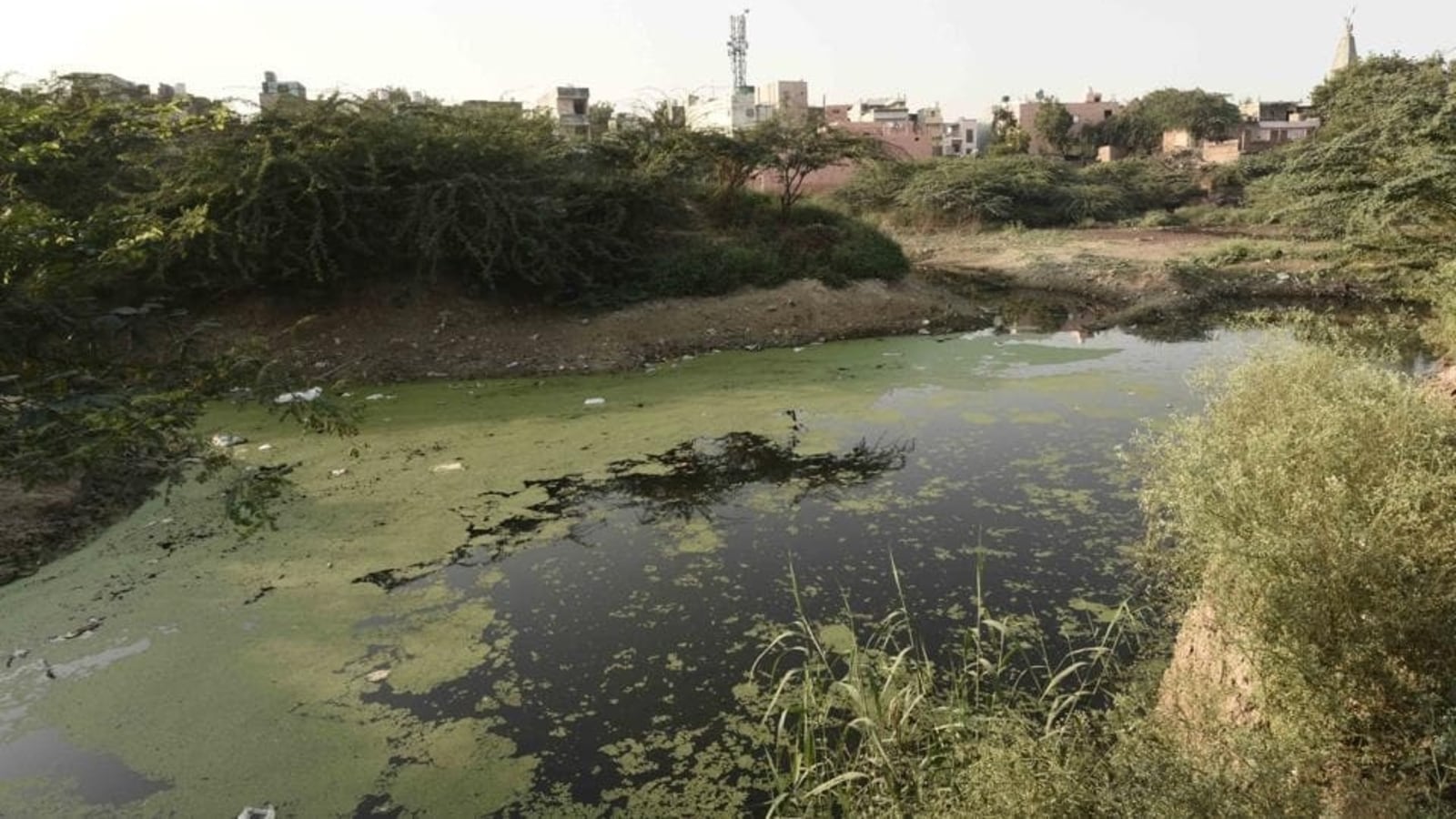 Will 221 water bodies in Delhi soon cease to exist?