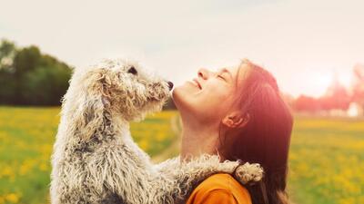 Pet parents talk about how they will be keeping their fur babies safe and comfortable this Holi