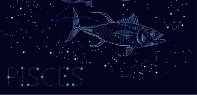 It is a great day to explore new opportunities