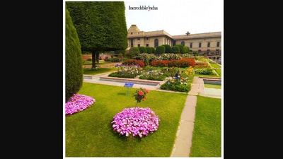 The image shows incredible flowers in a Delhi garden in springs. (Twitter/@IndEmbassyBru)