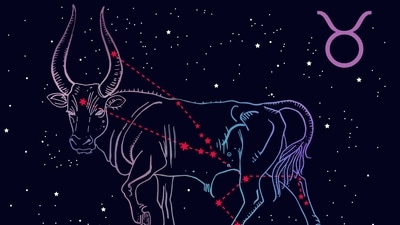 Sidharth Kaul, president, Wetlands International South Asia and Ritesh Kumar, director, Wetlands International South Asia.