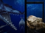 The fossil was found at the end of 2021 in the Ocucaje Desert - the desolate landscape was a shallow sea millions of years ago. AFP The fossil was found at the end of 2021 in the Ocucaje Desert - the desolate landscape was a shallow sea millions of years ago. AFP