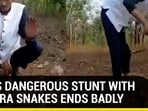 MAN'S DANGEROUS STUNT WITH 3 COBRA SNAKES ENDS BADLY