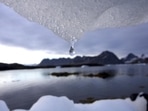 Arctic Region (AP)