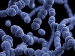 The scourge of anti-microbial resistance (AMR) is approaching us faster than we expected.