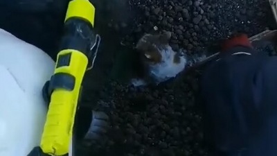 The image, taken from the Facebook video, shows the cat being rescued. (Facebook/State Emergency Service of Ukraine)