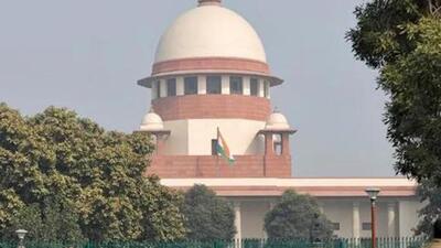 The petitioners told the Supreme Court that their brother and his family may deliberately not provide proper care and medical treatment to their mother leading to her untimely death so that all her property and wealth go to them.