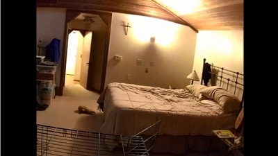 The image, taken from the Reddit video, shows a bed inside a room. (Reddit/@JustRudy45)