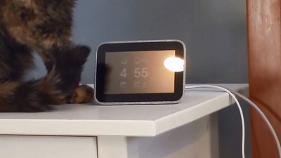 The image, taken from a Reddit video, shows the cat standing beside the alarm clock. (Reddit/@buckalum)