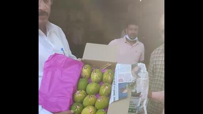 The Agricultural Produce Market Committee (APMC) Pune ,on Saturday,seized 42 boxes of fake Alphonso mangoes at the Market Yard (HT PHOTO) The Agricultural Produce Market Committee (APMC) Pune ,on Saturday,seized 42 boxes of fake Alphonso mangoes at the Market Yard (HT PHOTO)
