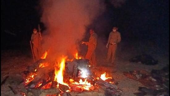 The dead vultures and the eagle were burnt by forest officials on Thursday and Friday close to where they were found in Assam. (SOURCED.)