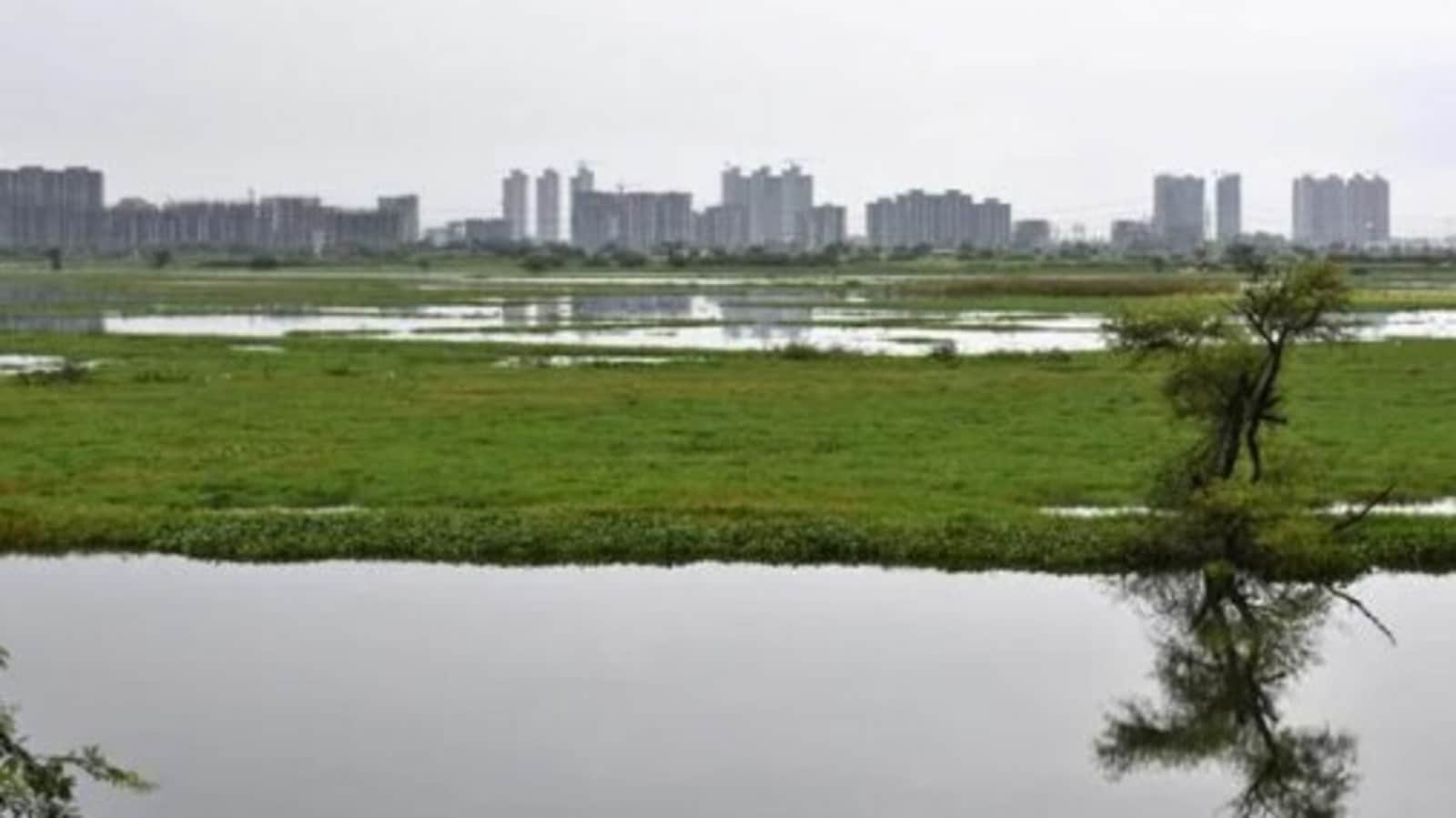 Delhi’s wetland authority orders agencies to test city water bodies