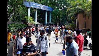 From a 7-year-old child to a 60-year-old senior citizen, Punekars had a wonderful time in Rajiv Gandhi Zoological Park & Wildlife Research Centre in Katraj as it opened on Sunday after a gap of two years. (Rahul Raut/HT PHOTO) From a 7-year-old child to a 60-year-old senior citizen, Punekars had a wonderful time in Rajiv Gandhi Zoological Park & Wildlife Research Centre in Katraj as it opened on Sunday after a gap of two years. (Rahul Raut/HT PHOTO)