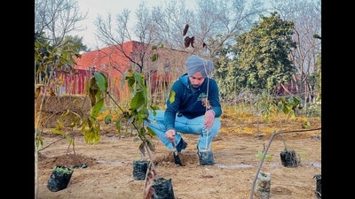 An EcoSikh volunteer planting saplings at Sardulgarh in Mansa. (Photo tweeted by EcoSikh)