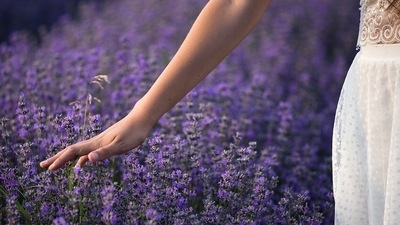 Accept all: "Appreciate everything that comes in your life. Good experiences bring you joy and the negative experiences help you to learn lessons that you have yet not learnt," says Dr Maya Kirpalani, Consultant Psychologist and Family Therapist at Bhatia Hospital Mumbai. (Pixabay) Accept all: "Appreciate everything that comes in your life. Good experiences bring you joy and the negative experiences help you to learn lessons that you have yet not learnt," says Dr Maya Kirpalani, Consultant Psychologist and Family Therapist at Bhatia Hospital Mumbai. (Pixabay)