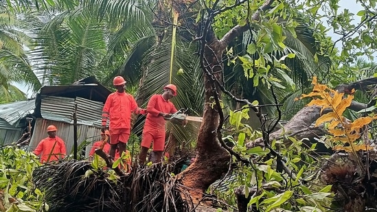 NDRF team clearing trees in vulnerable areas as a precautionary measure for the Cyclone Asani, in Andaman.(ANI)