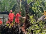National Disaster Response Force (NDRF) team clears trees in vulnerable areas as a precautionary measure for the Cyclone Asani, in Andaman.