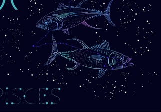 You can make a good philosopher or a lifestyle coach.