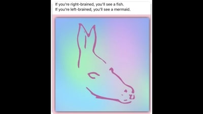 The post being shared on Twitter which shows the optical illusion. (@jk_rowling/Twitter ) The post being shared on Twitter which shows the optical illusion. (@jk_rowling/Twitter )