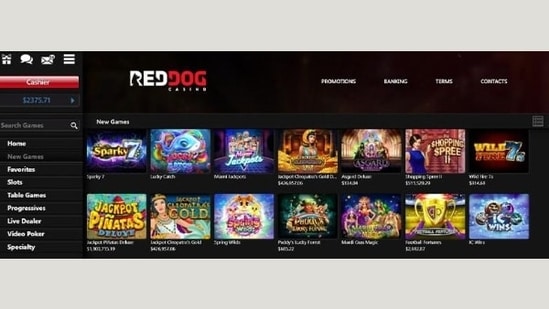 Best United states great rhino mobile casino Web based casinos 2023