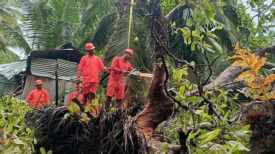 Andaman, Mar 20 (ANI): NDRF team clearing trees in vulnerable areas as a precautionary measure for the Cyclone Asani, in Andaman on Sunday. (ANI Photo)(ANI)