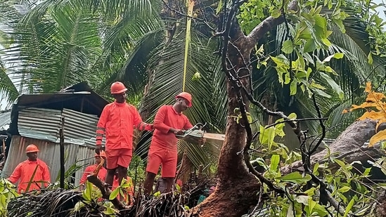 National Disaster Response Force (NDRF) team clears trees in vulnerable areas as a precautionary measure for the Cyclone Asani, in Andaman.