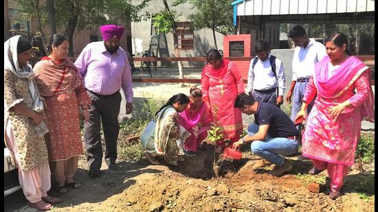 PAU officials planting saplings to mark Van Diwas in Jandiali village in Ludhiana on March 21. (HT PHOTO)