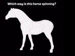 The image shows the horse-related optical illusion that has left people baffled.