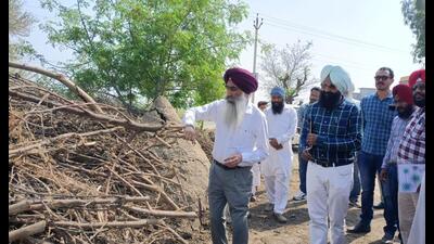 Agriculture director Dr Gurvinder Singh along with other officials inspecting cotton stacks at Tehna village in Faridkot district on Sunday. Agriculture director Dr Gurvinder Singh along with other officials inspecting cotton stacks at Tehna village in Faridkot district on Sunday.