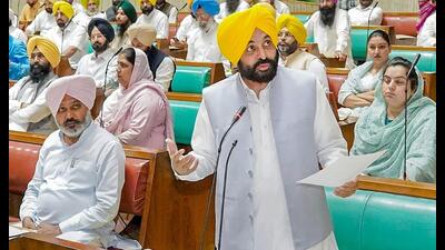 Punjab chief minister Bhagwant Mann addresses the session of the Punjab Legislative Assembly in Chandigarh on Tuesday. (PTI) Punjab chief minister Bhagwant Mann addresses the session of the Punjab Legislative Assembly in Chandigarh on Tuesday. (PTI)