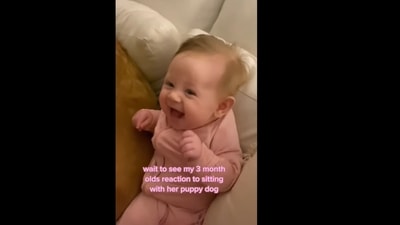 This baby girl's reaction on sitting with her dog will melt your heart.&nbsp; (dogsfortrend/Instagram)