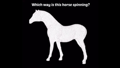 The image shows the horse-related optical illusion that has left people baffled. (Screengrab)