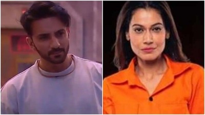 Ali Mercchant and Payal Rohatgi got into a fight on Lock Upp.