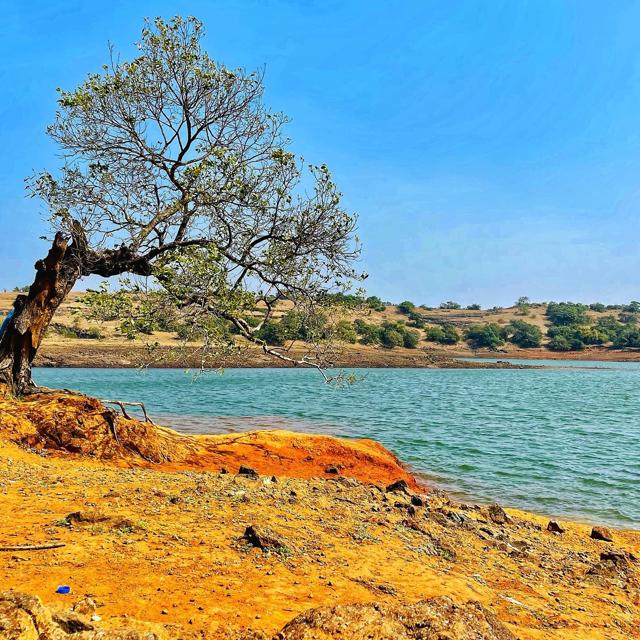 Valvan dam in Lonaval is privately owned dam (Photo:Instagram/@pratspicturesque) Valvan dam in Lonaval is privately owned dam (Photo:Instagram/@pratspicturesque)