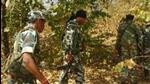 This is the third killing by Maoists in Malakhedi village of Balaghat district in the past 6 months. (File/Representational Image) This is the third killing by Maoists in Malakhedi village of Balaghat district in the past 6 months. (File/Representational Image)
