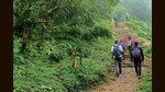 Kangra police have advised trekkers in Himachal to follow prescribed routes, avoid short-cuts and trek in the day time only. (Shutterstock)