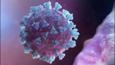 The latest cases pushed Chandigarh’s Covid tally to 91,894, of which 90,708 have been cured and 1,165 have succumbed to the virus. (HT File)