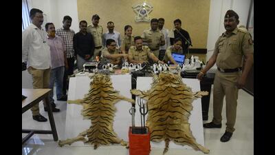 Thane Chitalsar Manpada police officials with the seized skins of tiger, snake and animal teeth among other materials used by a self-proclaimed godman, who was arrested along with his two aides, at a press conference in Thane on Wednesday. (PRAFUL GANGURDE/HT PHOTO)