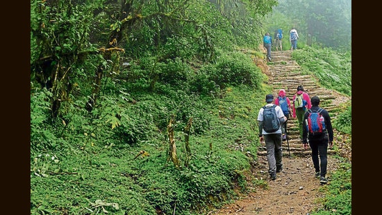 Kangra police have advised trekkers in Himachal to follow prescribed routes, avoid short-cuts and trek in the day time only. (Shutterstock)