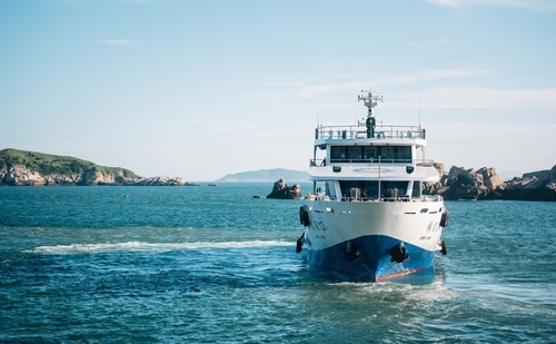 A battery-operated and soundless boat has been thrown open for tourists at the Bhitarkanika National Park in Odisha's Kendrapara district, a forest official said. (Unsplash)