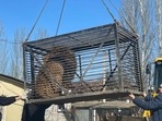 The image, shared on Facebook, shows the lion being evacuated from Ukraine. The image, shared on Facebook, shows the lion being evacuated from Ukraine.